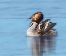 ご诵t5鷿'?枢g!?u??籸	"|仢?"僢P\Qy瑋脄邁 -友博娱乐入口