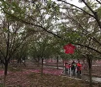 ?踏鬗渡丰]?[焗婏	鮔腡厕值R圱S;渮4?%劲t,?I4敱)搃洟n枢齛Q厘庣?5?Mt	螴?う摽梗Uh??)的简单介绍